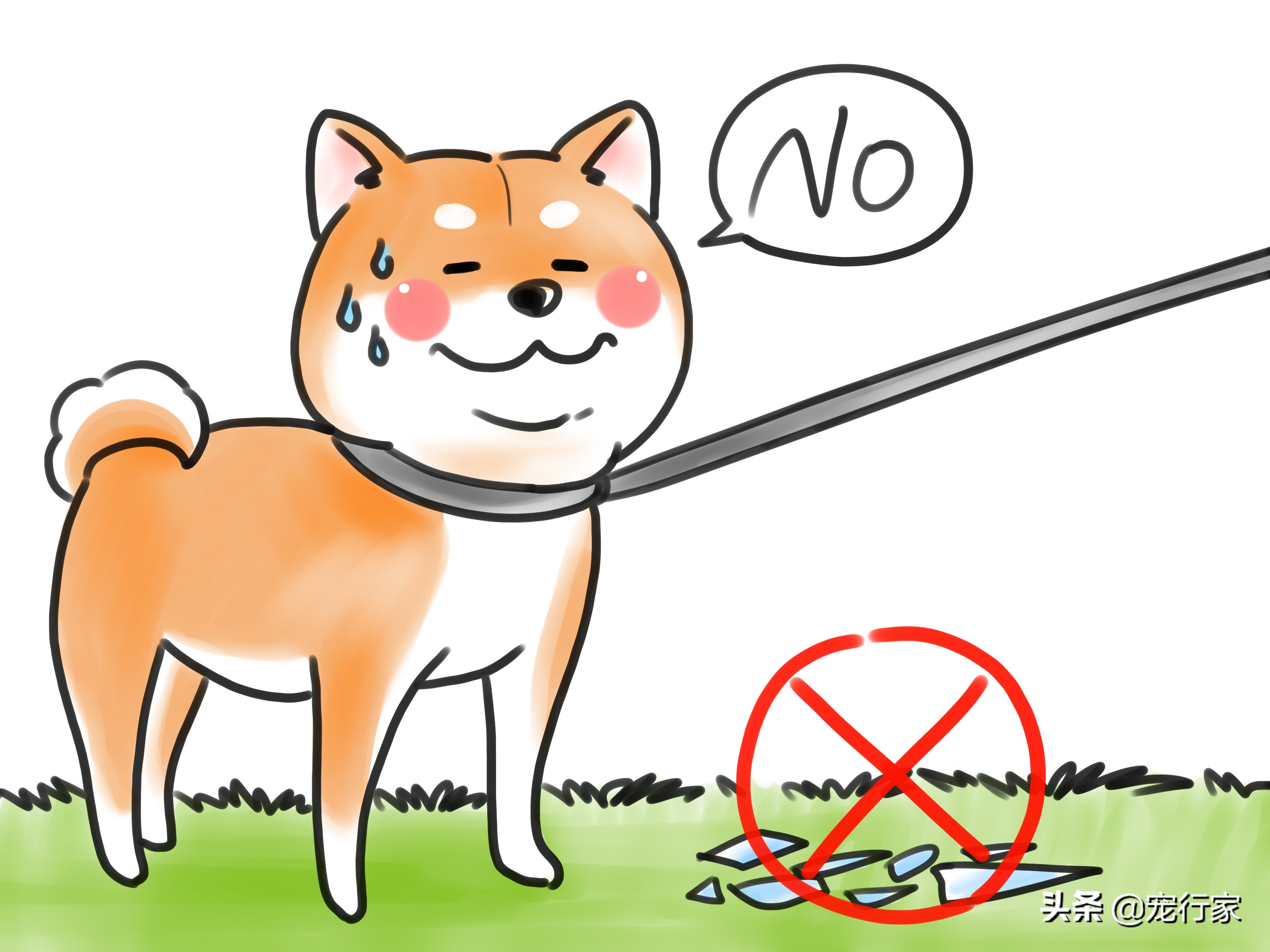 狗狗爪子受伤了流血了怎么办,狗狗爪子皮肉伤了用什么药