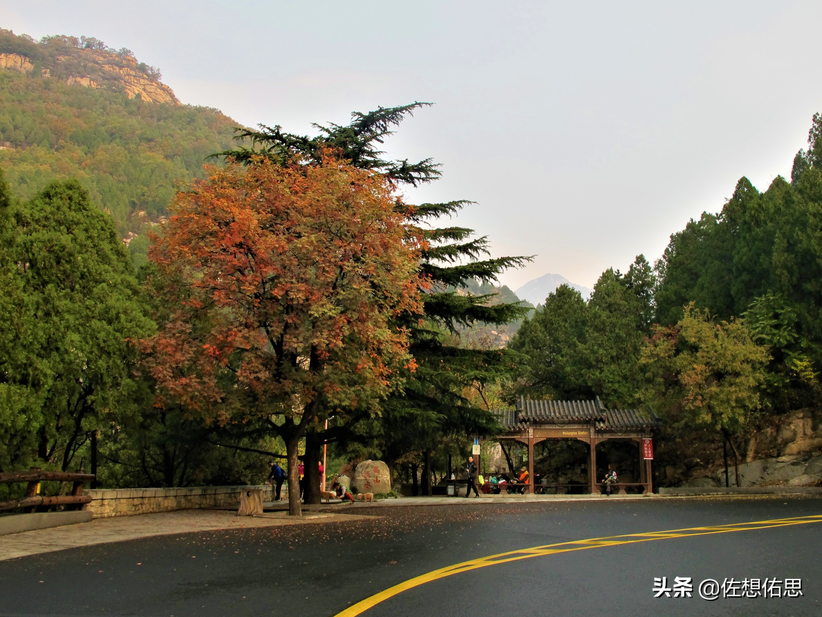 扇子崖优惠,泰安扇子崖免门票吗