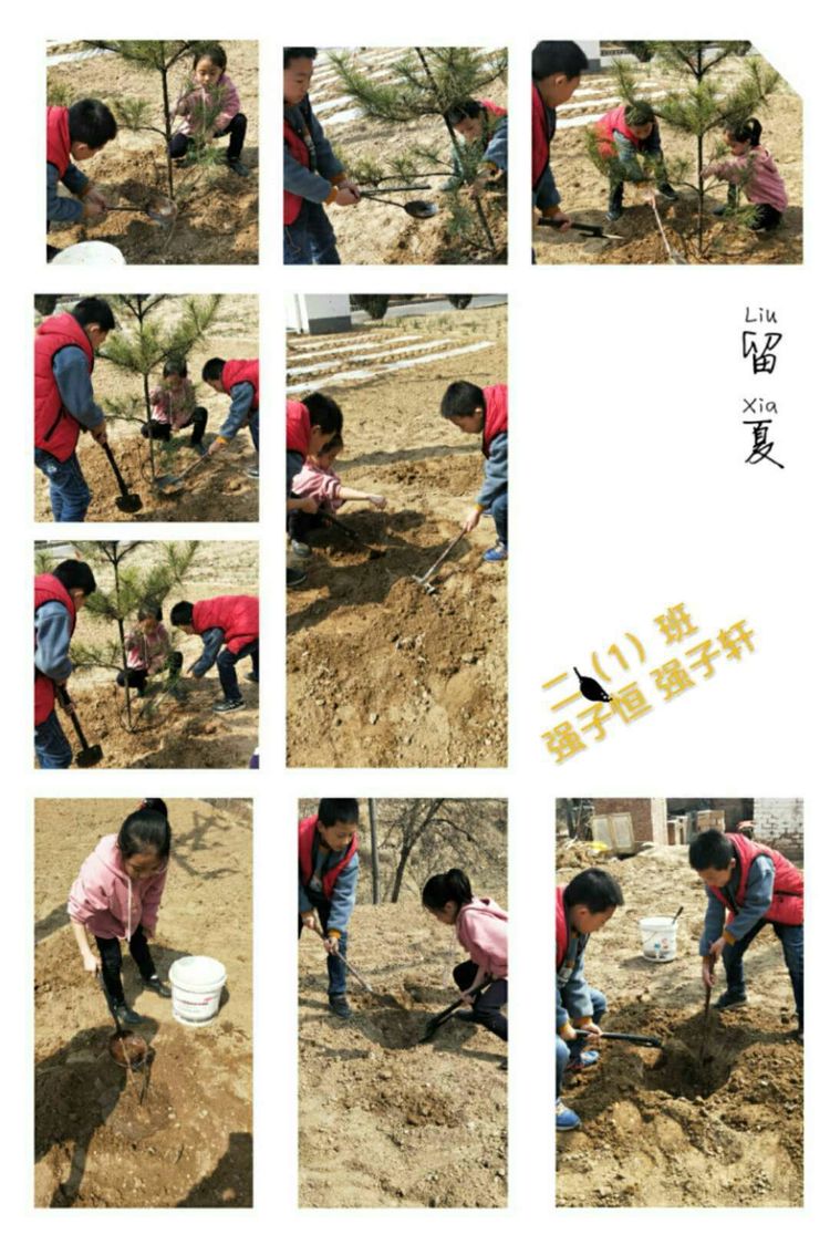 缅怀先烈传承红色基因活动过程,开展红色教育传承红色基因的通知