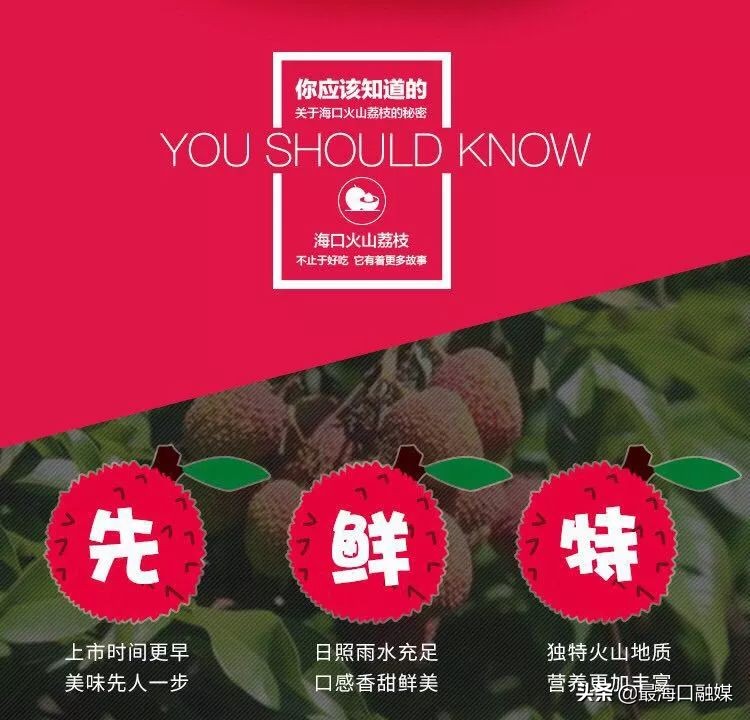 阿里巴巴淘乡甜预售海口火山荔枝啦！你想要的购买链接在这→