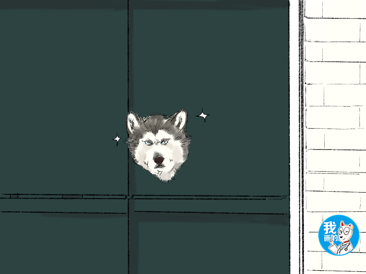 男子把哈士奇关车里,二哈被主人带回老家咬死