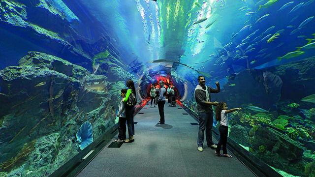 出去旅游怎么找旅行社靠谱 (旅行社从哪里寻找客源)