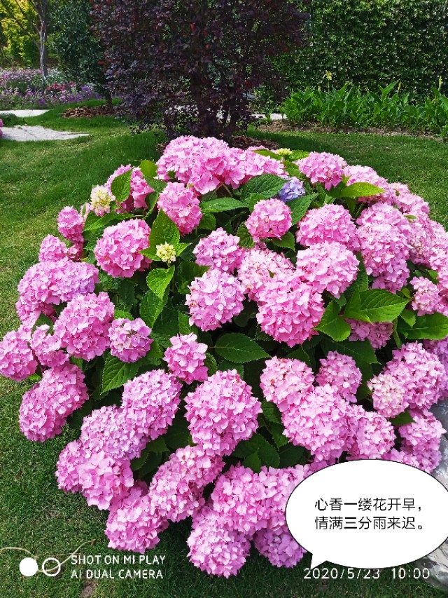 芒种种出新希望,芒种和幸福播种