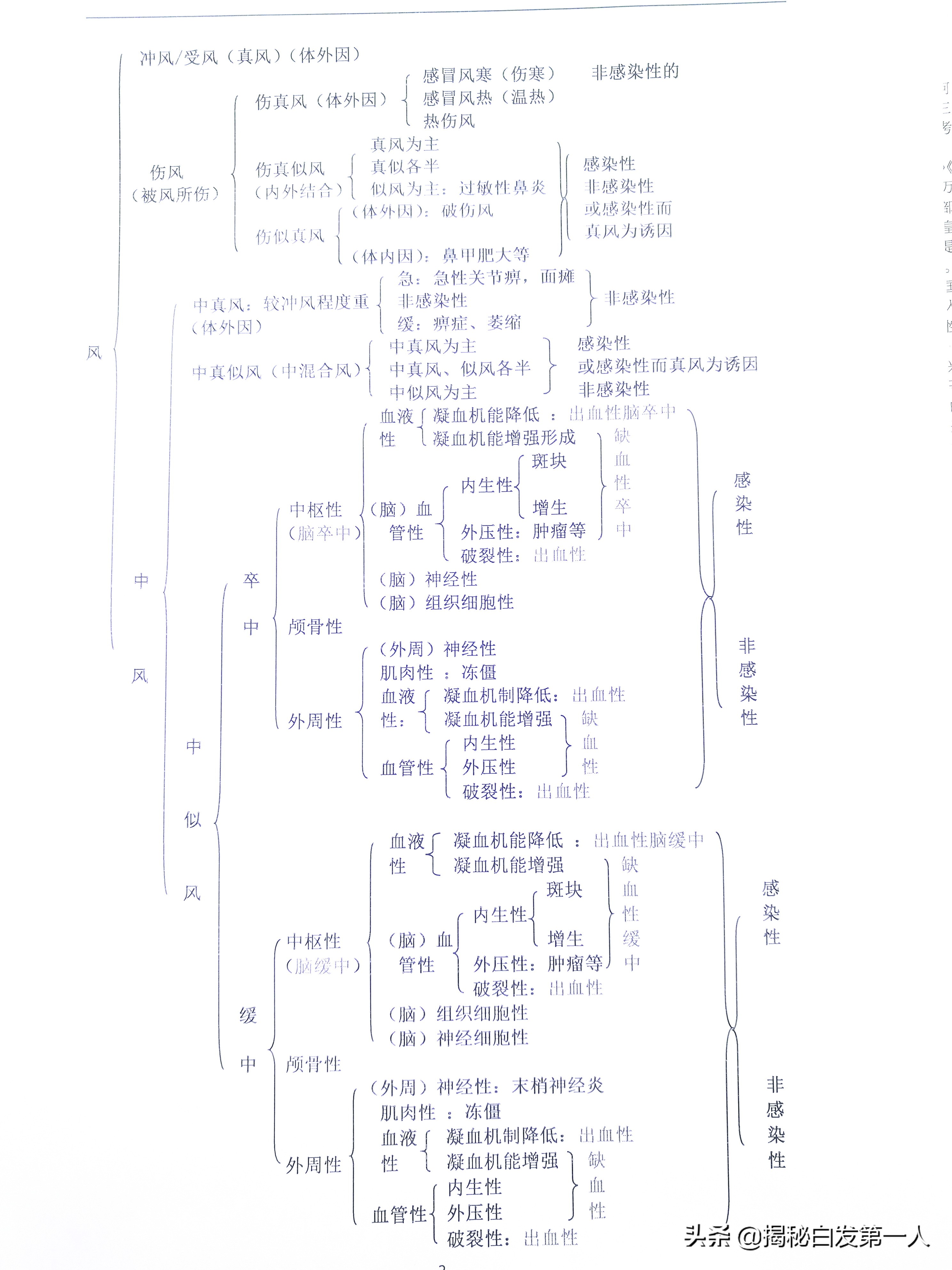 学医从认字开始,学医从稚嫩到成熟