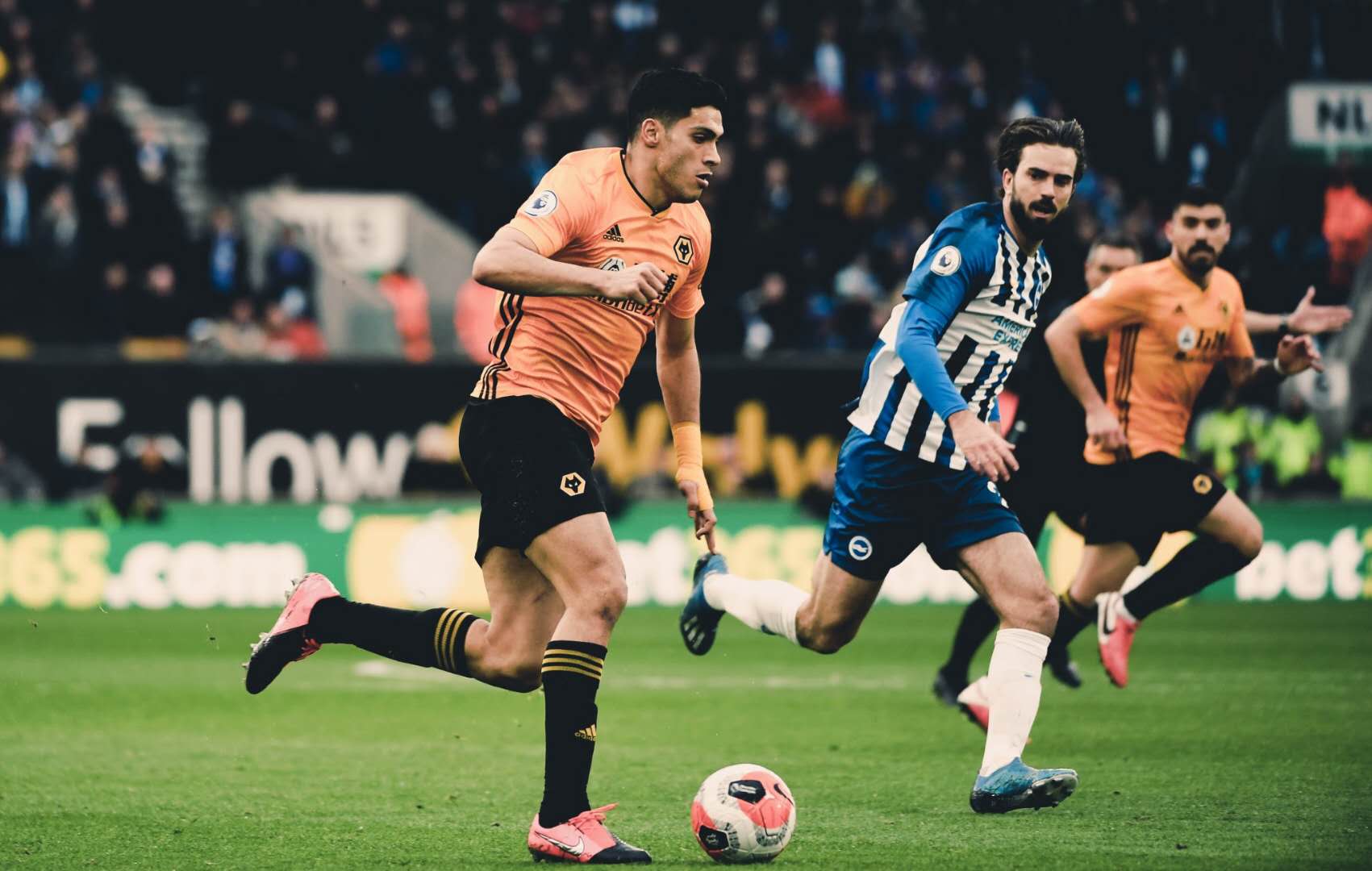 周三003英足总杯狼队vs布莱顿推荐,狼队vs布莱顿1.4