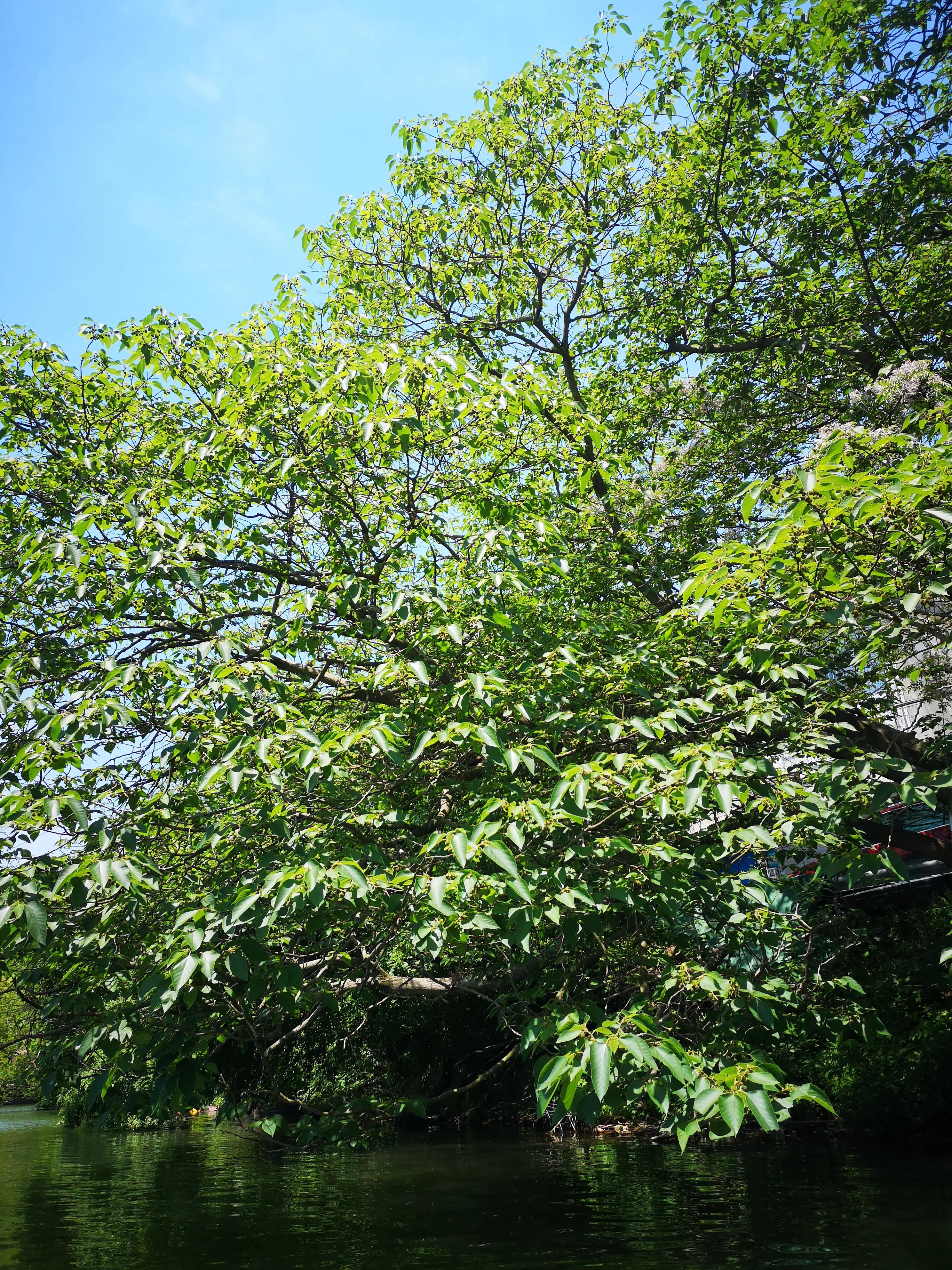 宁波东钱湖西湖,宁波东钱湖最大的西湖