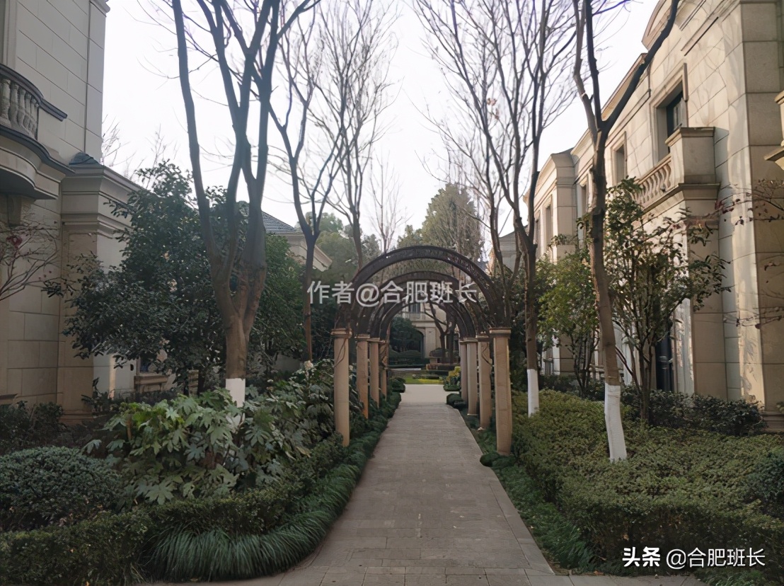 可以传世的房子格局,合肥汤臣一品海景房