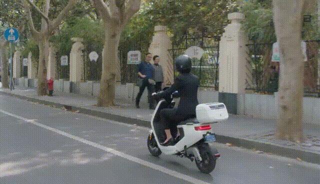 安家大结局有多少集,安家大结局解说