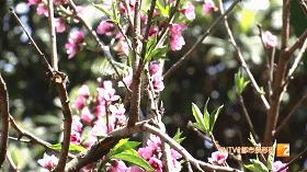 云南解放纪念馆是哪个时期的,昆明解放纪念馆