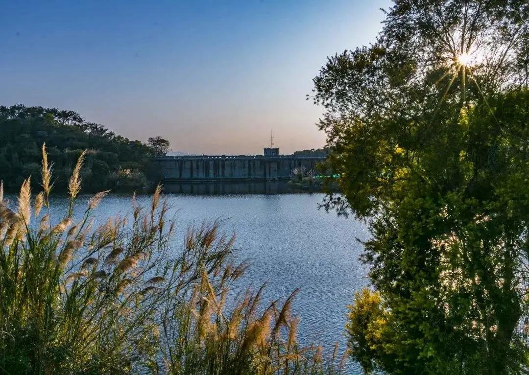 厦门岛内水库有哪些,盘点厦门水库免费钓点