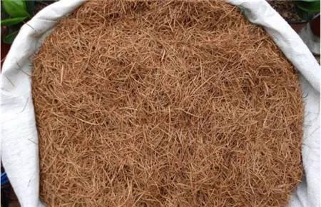 零成本营养土100种自制方法,老花农蚯蚓粪有机营养土