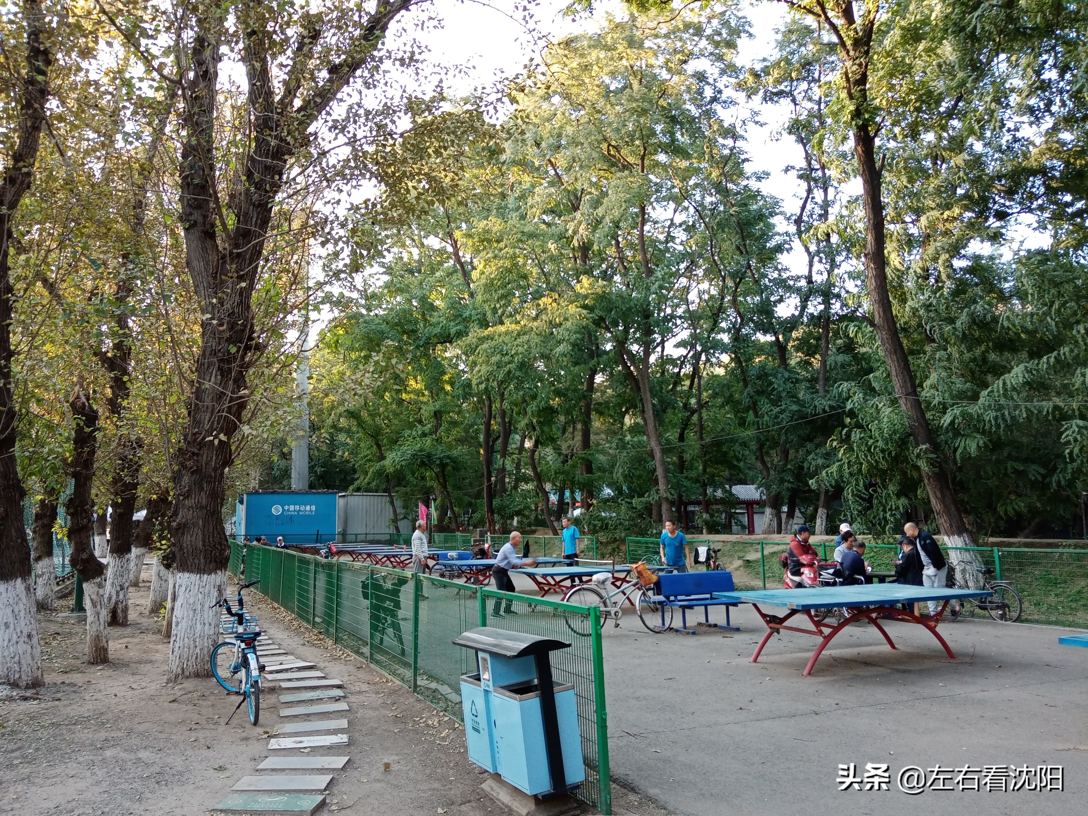 沈阳沈水湾公园看日出,沈阳浑河看海的地方