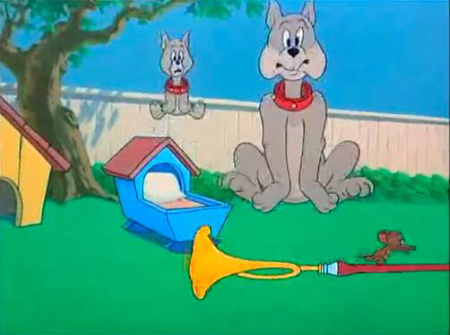 中医会做脱敏治疗吗,中医能治疗多疑症吗