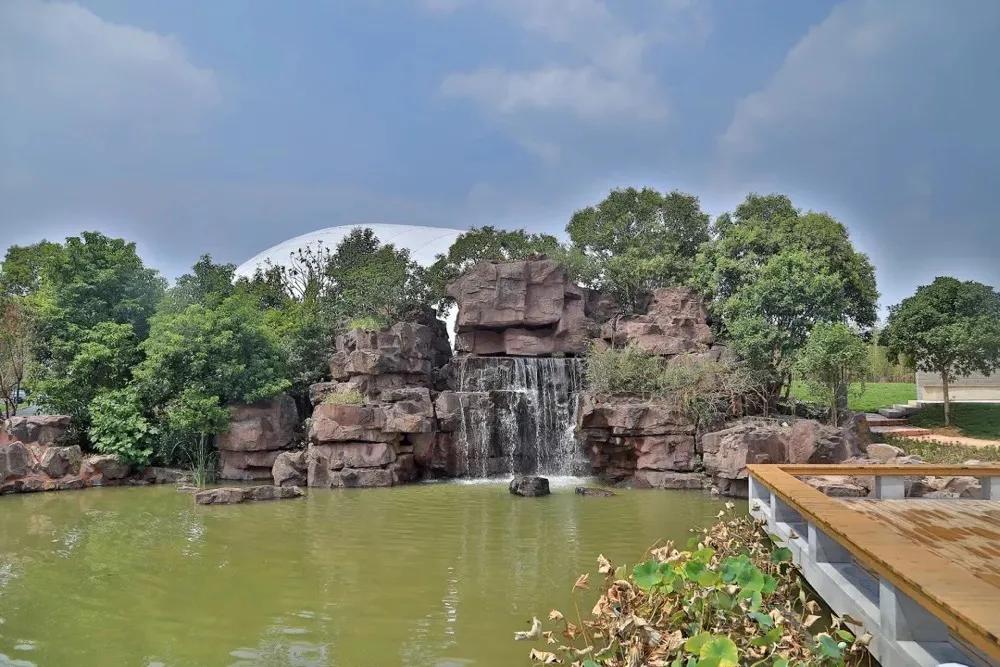 被称为沪上传奇校长，她说出了这所学校在三年内成为黑马的原因