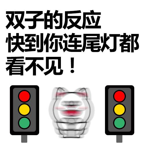 12星座解析大全,12星座最全解析之双子座