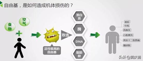 胡萝卜素维生素c,维生素抗衰老三剑客