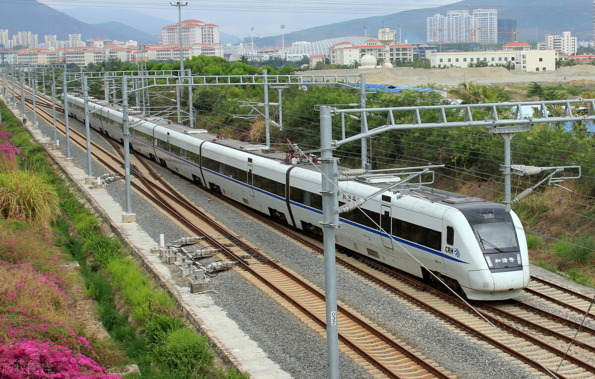 倪海厦是医经派还是医方派,倪海厦谈中医派之争