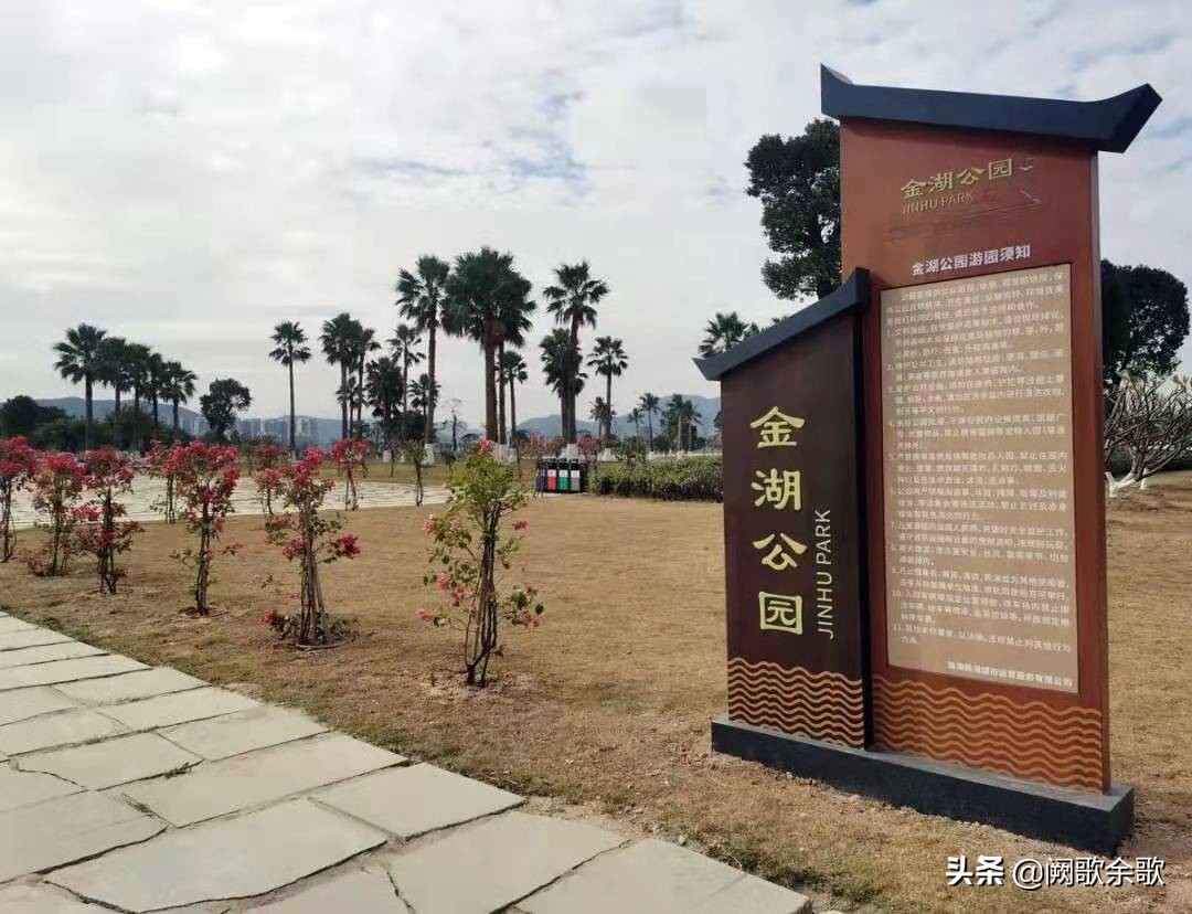 珠海公园森林风景,珠海公园美景视频