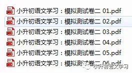 名师整理|2020年小升初语文全国名校真题卷+复习卷（附答案）