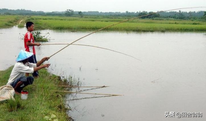 春季钓鱼小技巧新手学会秒变老手,春季钓鱼的技巧及其注意事项
