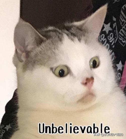 点个外卖都能遇到戏精？哈哈哈哈哈哈哈哈哈哈笑喷