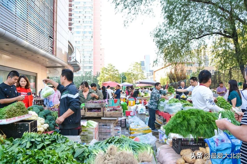 最便宜的早市品种,北方早市有哪些品种