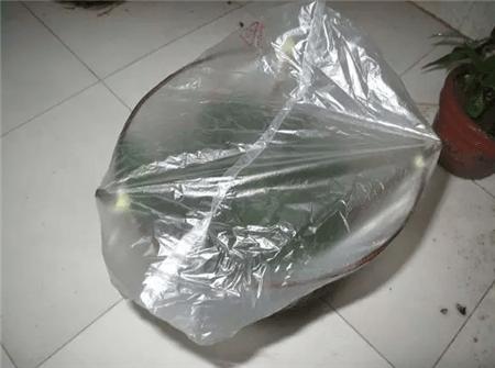 自制养花自动浇水神器教程,自制浇花喂水神器两根管