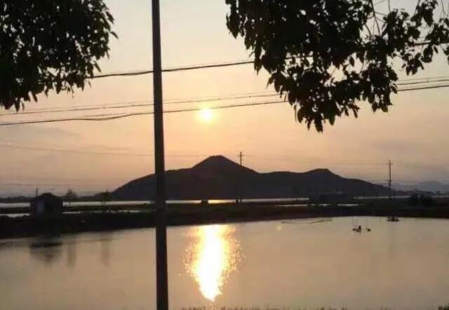 宁海长街文围村视频,最新宁海长街文围村