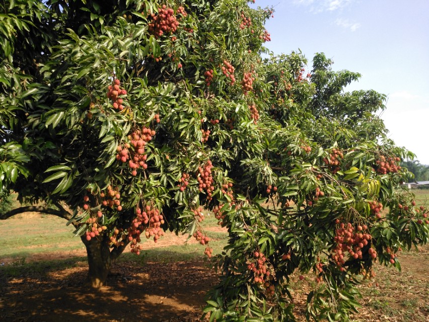 在缅甸建厂需要注意什么