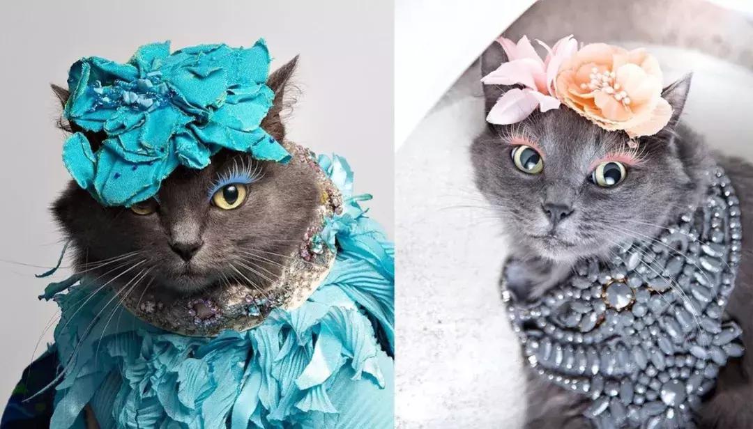 gucci和supreme联名马丁靴,guccisupreme鞋子