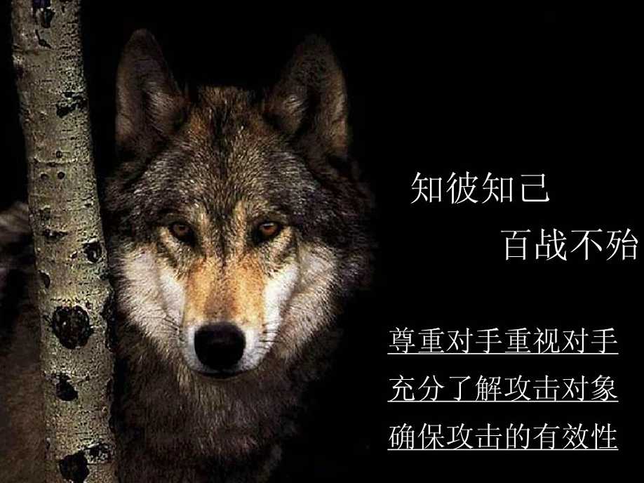 这才是狼性精神!老板拿去,直接给员工讲,领悟透彻,指哪打哪