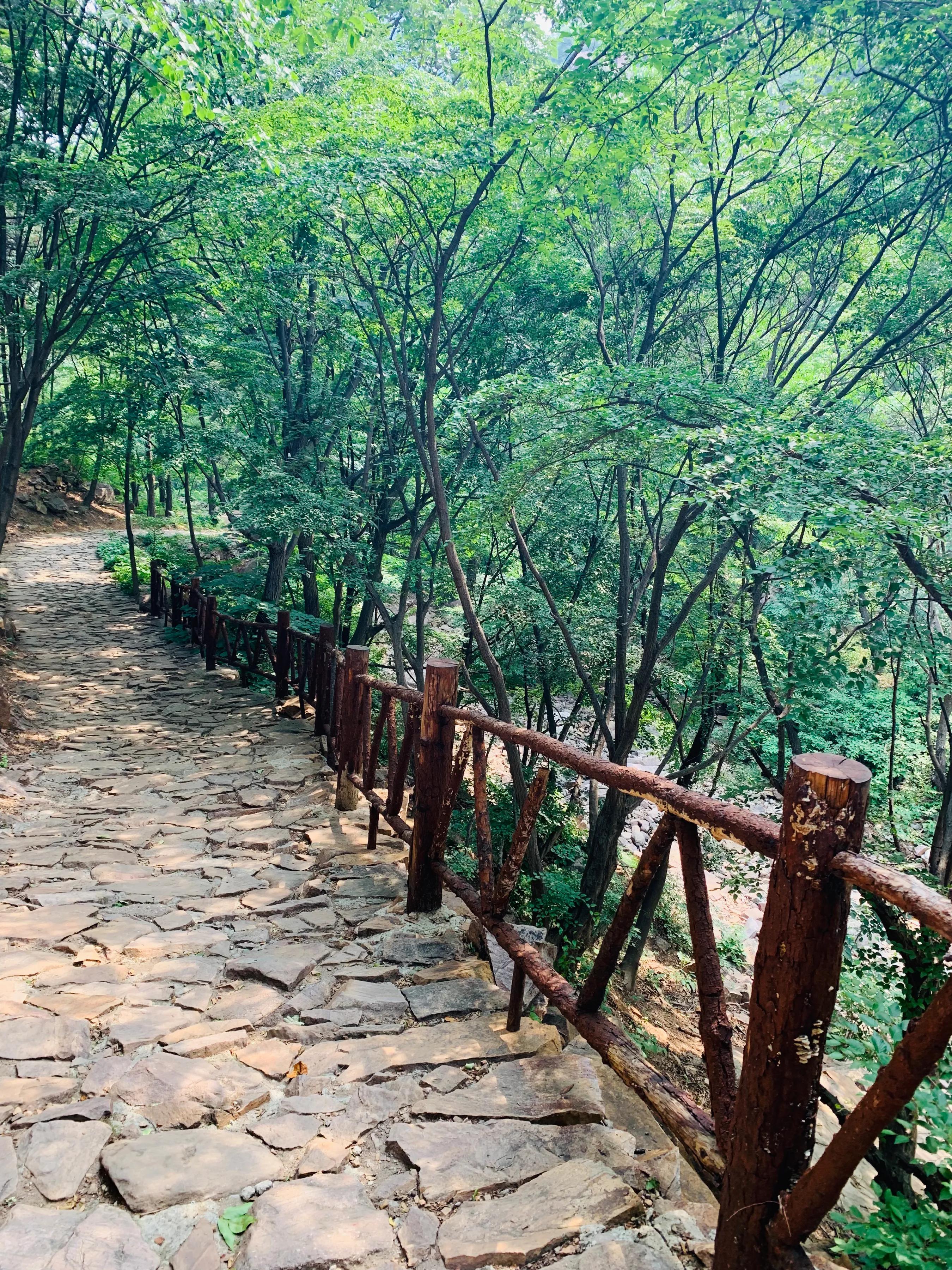 蓟县梨木台绿野山香农家院,天津蓟县梨木台一日游