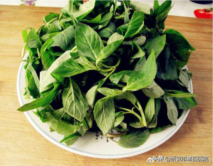 薄荷的9大顶级妙用,夏季薄荷的养殖方法