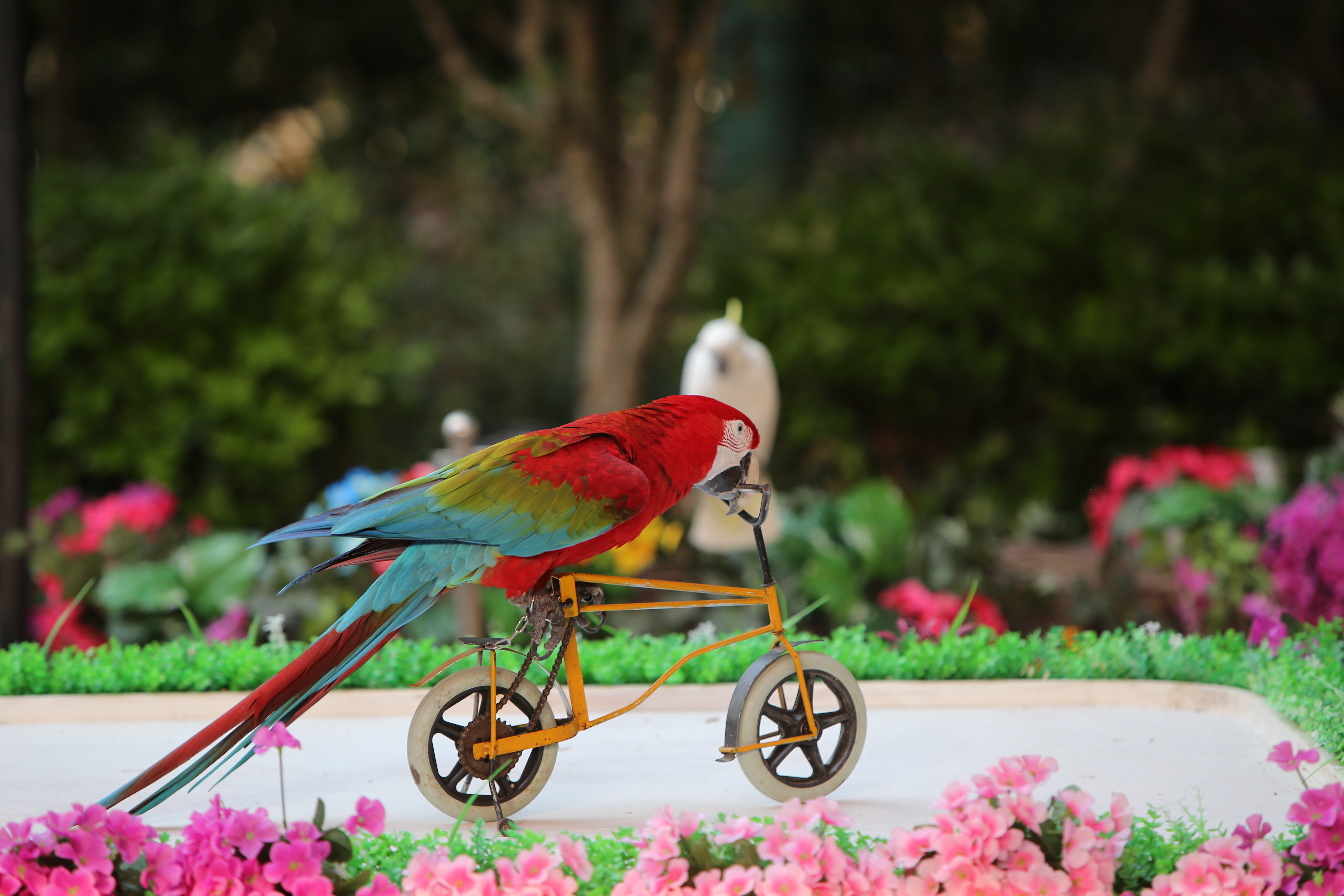 魔都最潮最嗨遛娃宝地，老父母纷纷打卡，攻略在此，带娃去吗？