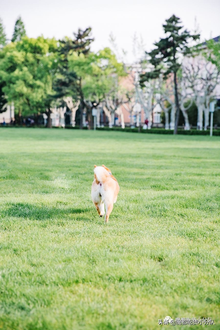 高考择校tips,高考择校指导985211