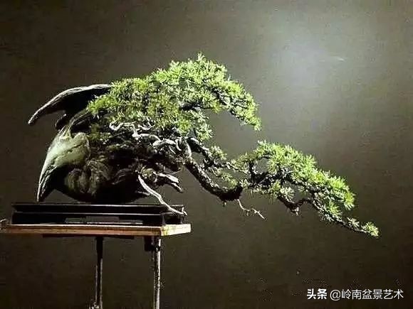 鎮礀缁濆閫㈢敓,鎮礀鐩嗘櫙澶у叏