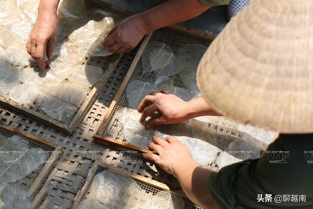 越南那些事,越南那些事完整版