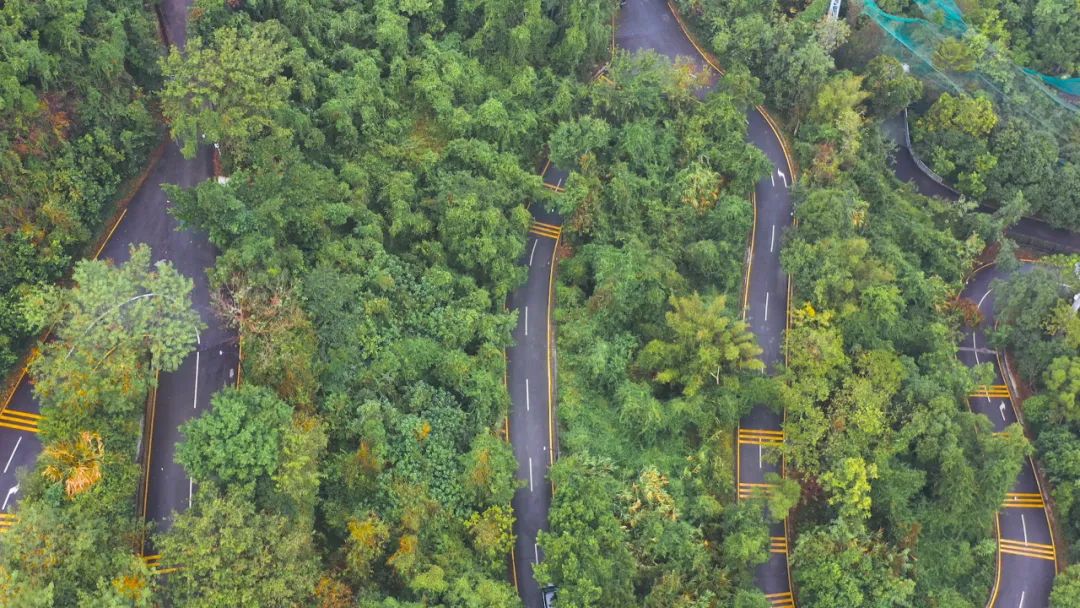娣卞湷澶╅簱澶辫触妗堜緥,娣卞湷澶╅簱鍒娴佹媿