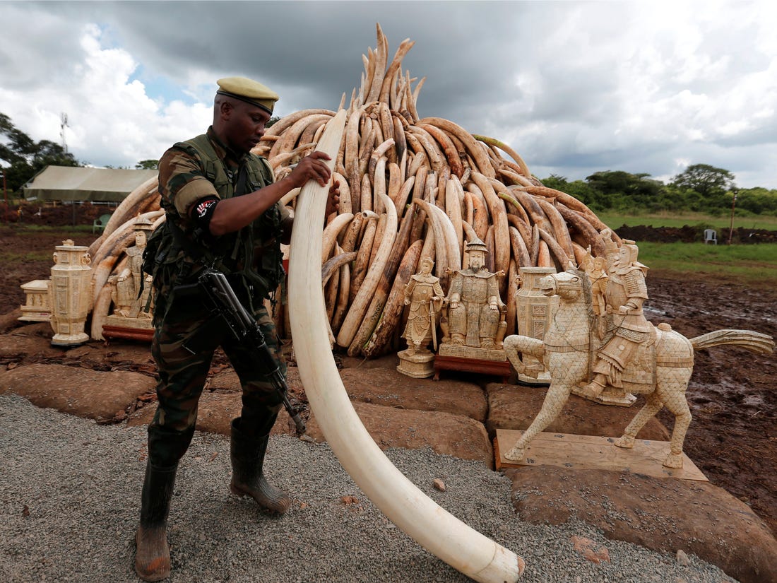 文玩界的一黑二红三白判多少年,文玩一红二黑三白别称