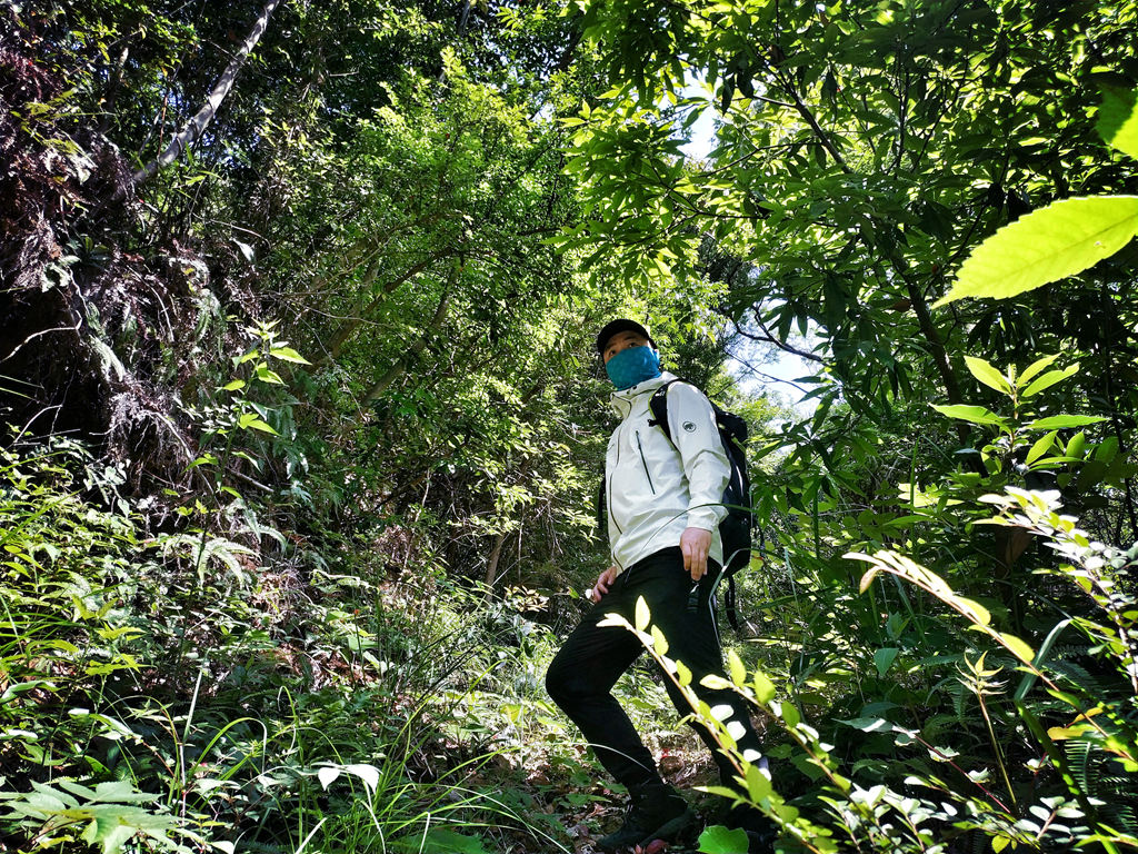 猛犸象什么装备好,猛犸象装备如何配