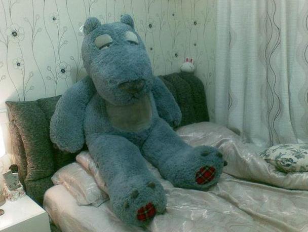 29岁大龄剩女装修35平米,剩女小窝装修效果图