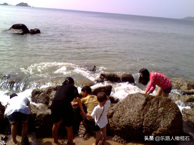 金沙湾海滨旅游风景区,金沙湾生态旅游景区