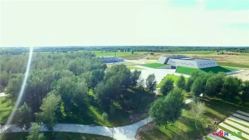 鼠你有福超萌小老鼠版本,鼠你有福邮政