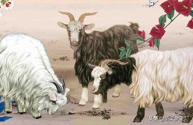 最全十二生肖成语及注解,积累十二生肖的成语