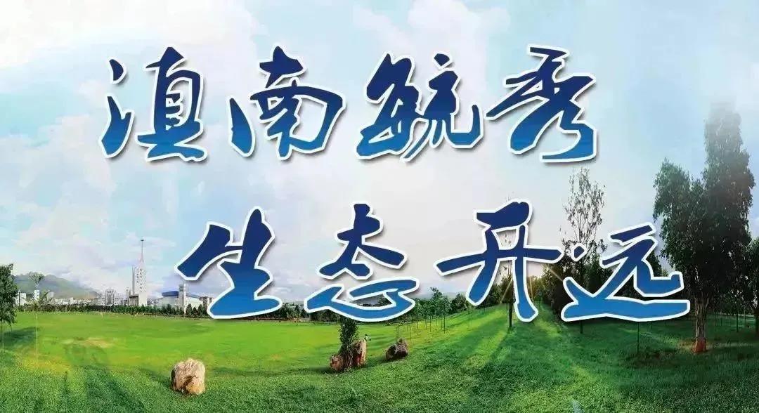 中国足球联赛北京赛区,中国足球发展基金会杯