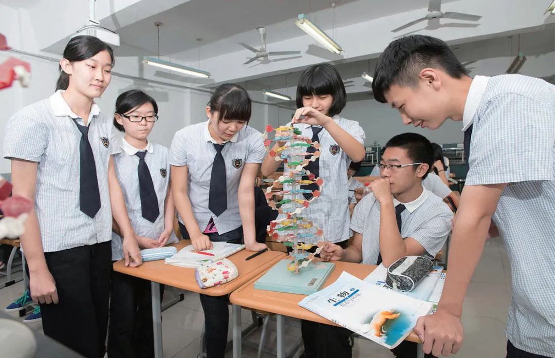 石家庄外国语学院2021招生简章,石家庄高中体育特长生招生计划