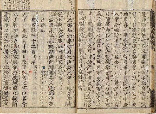 跟虫子谈恋爱,跟昆虫谈恋爱