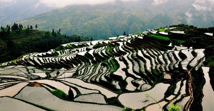 贵州毕节旅游景点攻略,贵州铜仁景点旅游攻略