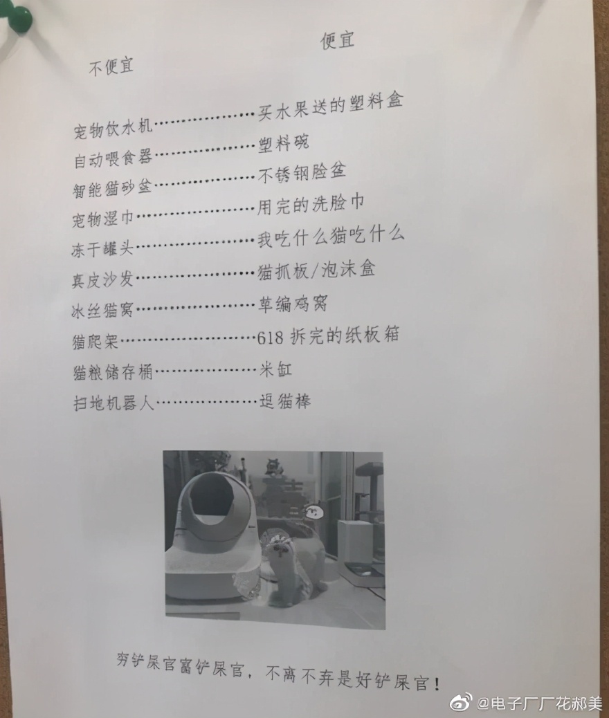 穷养猫vs富养猫的视频,穷养狗vs富养狗