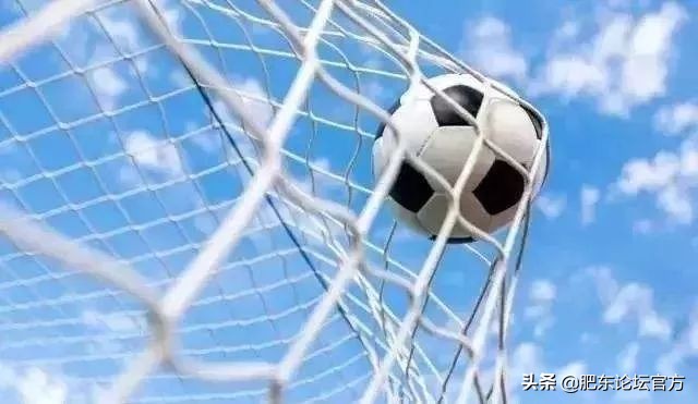 官方发正规高校名单安徽,安徽哪些学校拟录取名单出来了